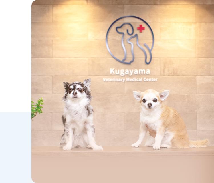 久我山動物医療センター