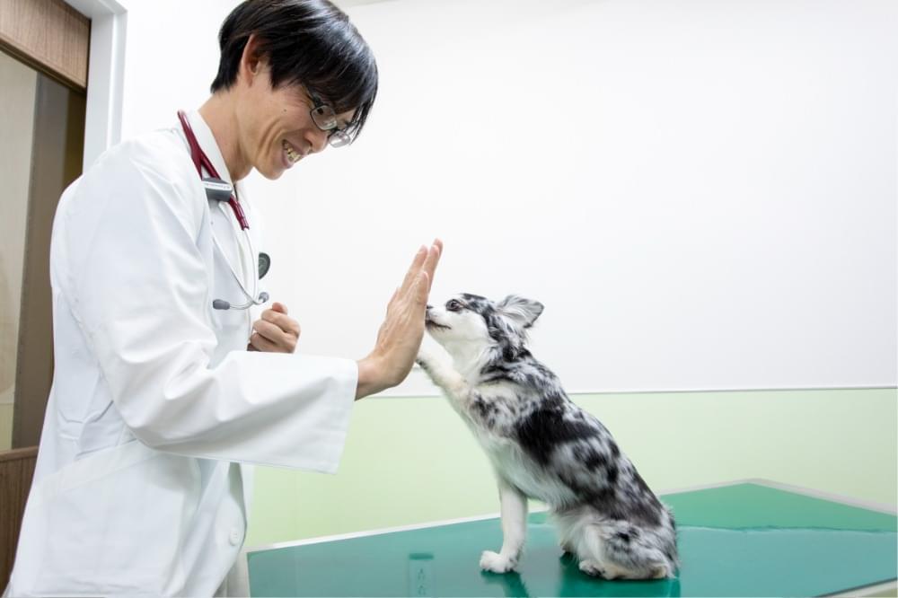 術前・術後のきめ細やかなケア